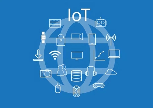 What are the components of IoT module?