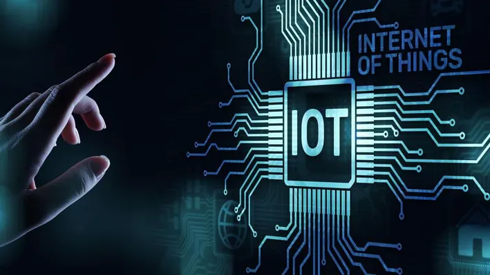 What are the main components of an IoT module?